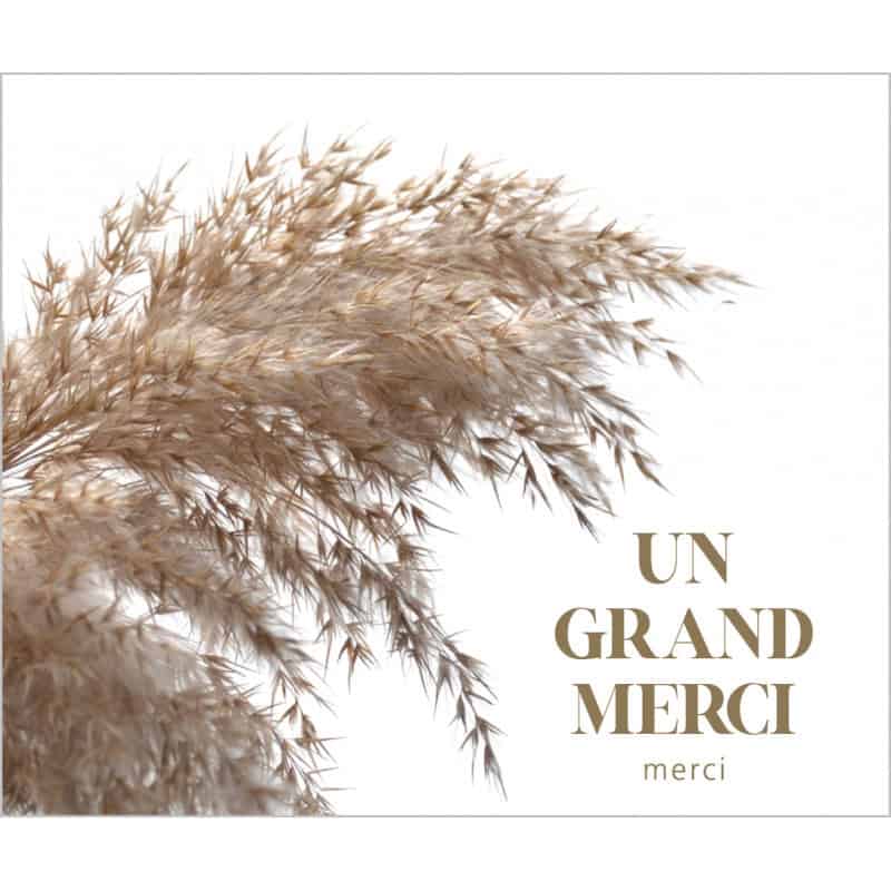 Paquet de 12 cartes doubles "grand merci" - Auce - Emballage - Carterie - Grossiste