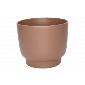 Cache-pot café plusieurs tailles contenant grossiste fleuriste