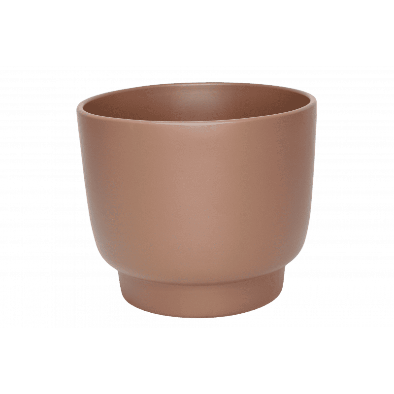 Cache-pot café plusieurs tailles contenant grossiste fleuriste Cache-pot café plusieurs tailles contenant grossiste fleuriste