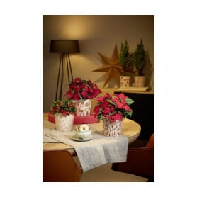 Cache-pot Dallas contenant grossiste fleuriste