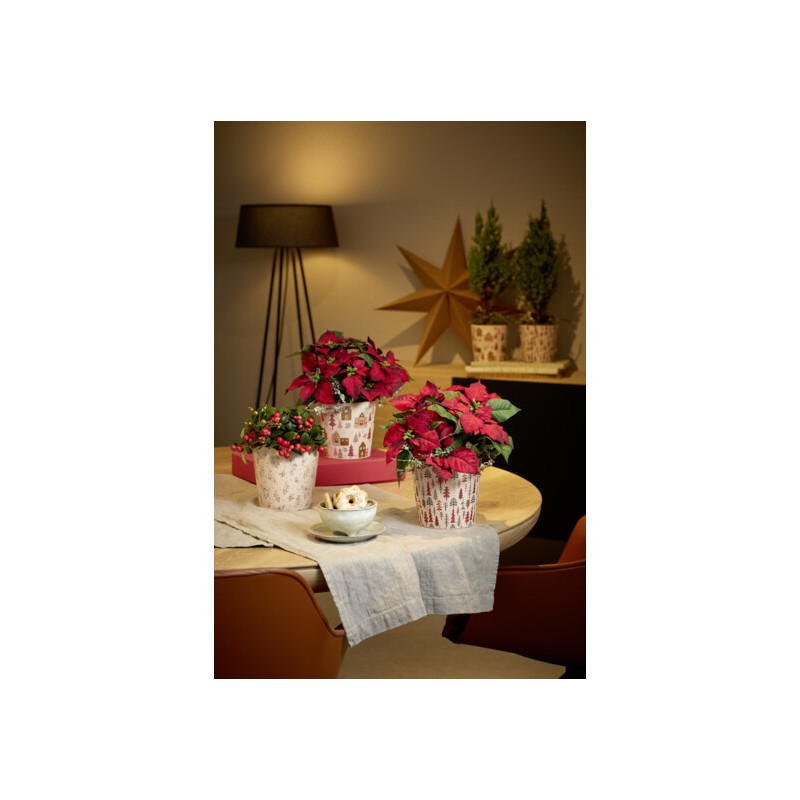 Cache-pot Dallas contenant grossiste fleuriste