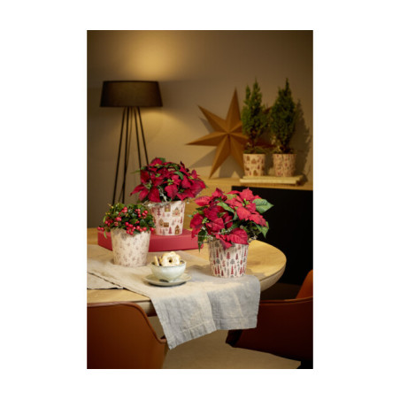 Cache-pot Dallas contenant grossiste fleuriste