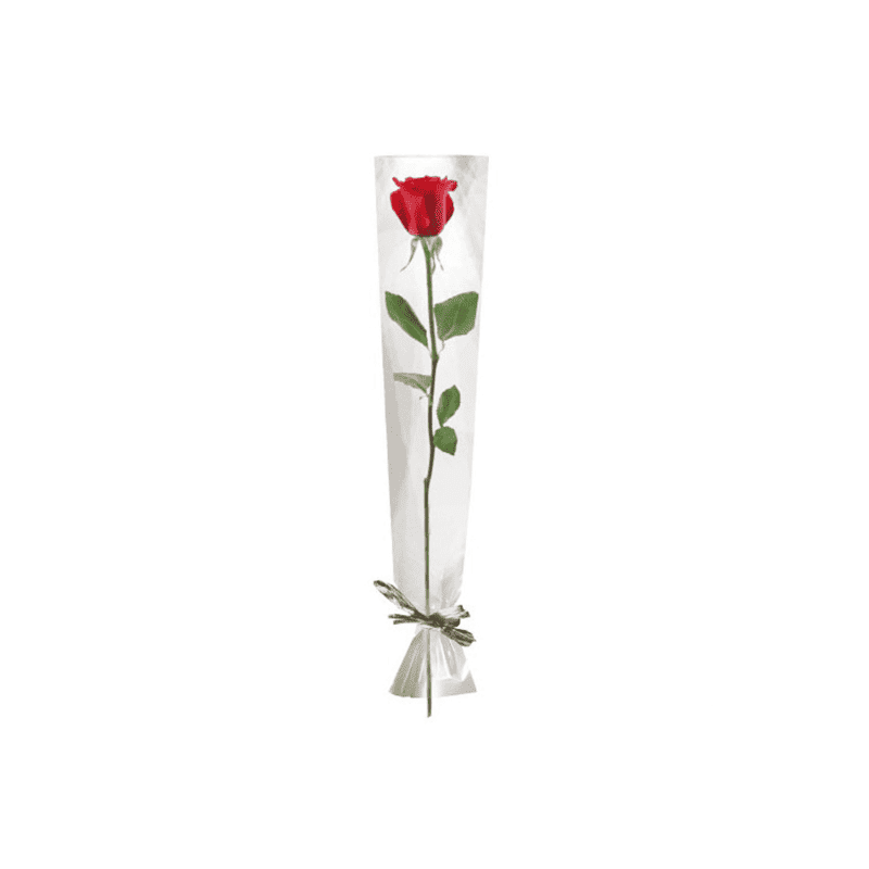 Paquet de 100 étuis à rose 16cm x 80cm - Eliana Paquet de 100 étuis à rose 16cm x 80cm - Eliana