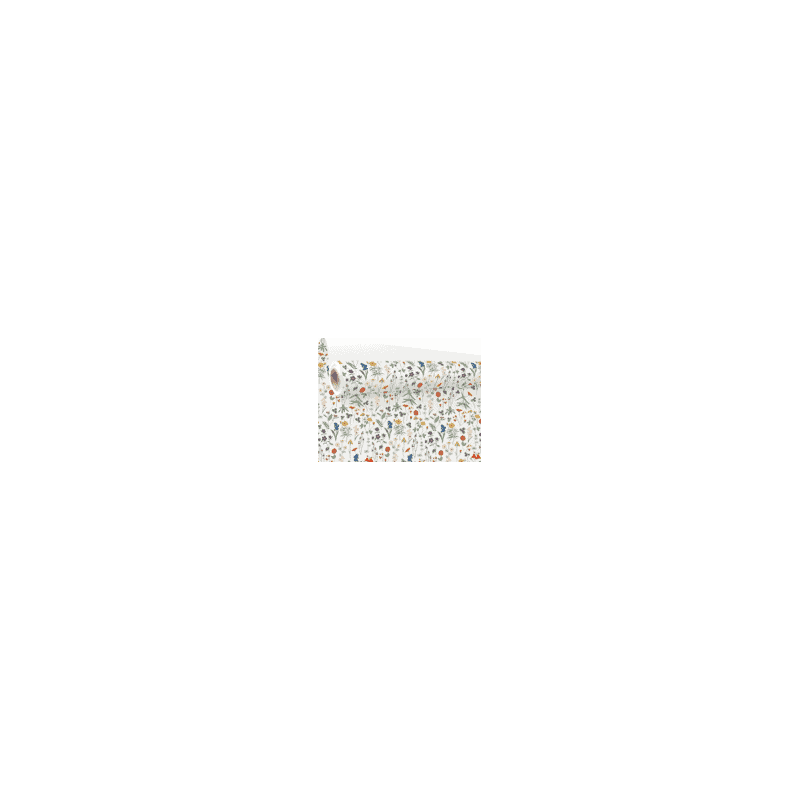 Rouleau de papier cadeau 0.70x50M - Herbier - Emballage - Grossiste