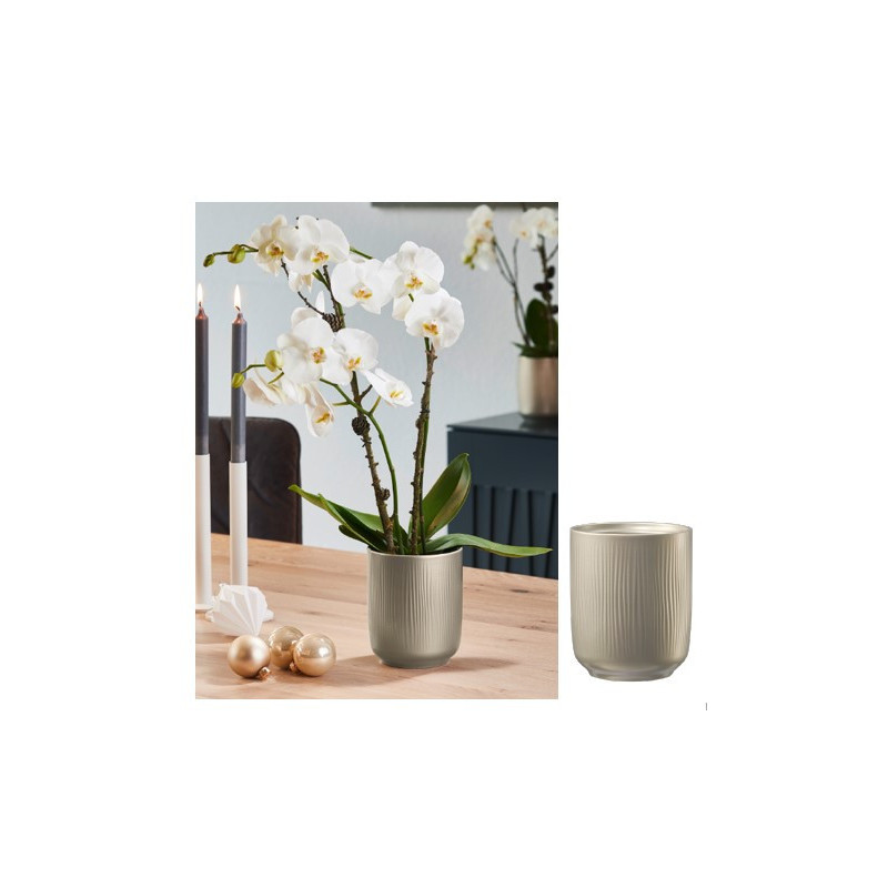 Cache-pot mat D. 13cm H.15cm - Falun - Contenants - Grossiste