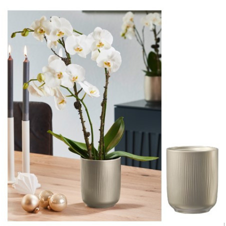 Cache-pot mat D. 13cm H.15cm - Falun - Contenants - Grossiste