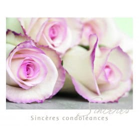 Paquet de 12 cartes "sincères condoléances" - Karleby - Carterie - Grossiste