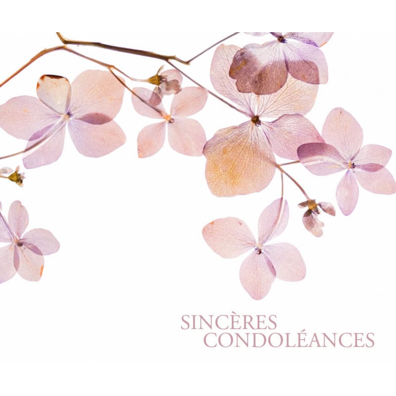 Paquet de 12 cartes "sincères condoléances" - Kaa - Carterie - Grossiste Paquet de 12 cartes "sincères condoléances" - Kaa - Carterie - Grossiste