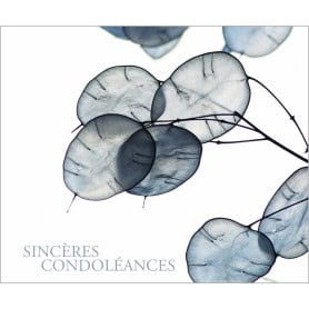 Paquet de 12 cartes "sincères condoléances" - Lohja - Carterie - Grossiste