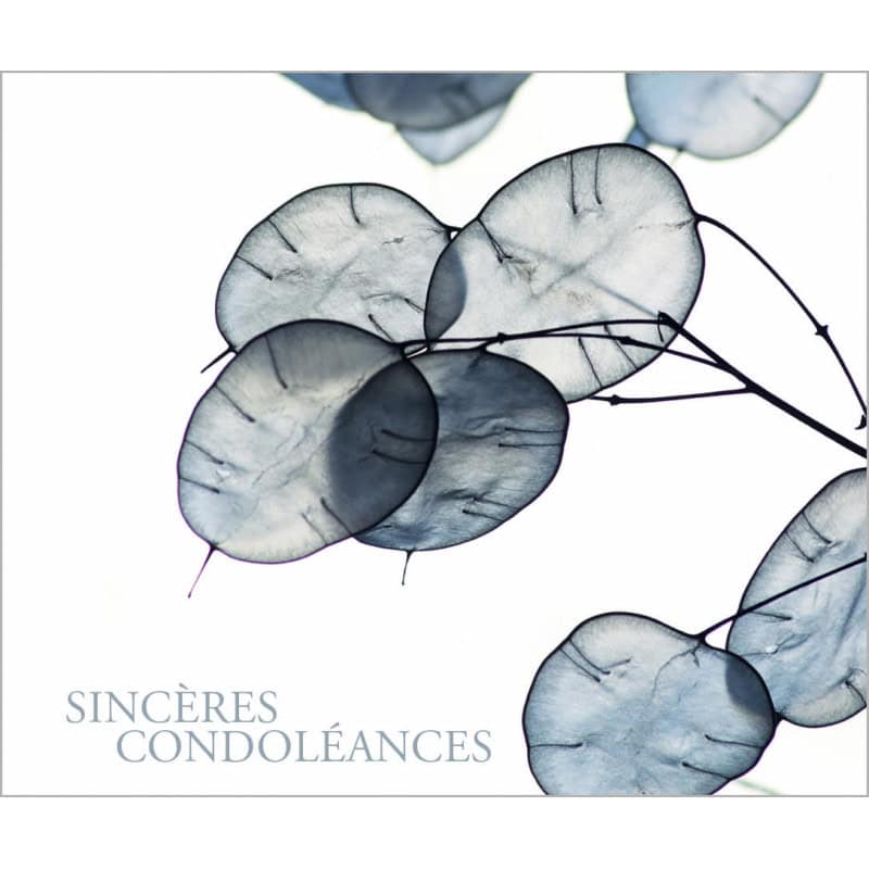 Paquet de 12 cartes "sincères condoléances" - Lohja - Carterie - Grossiste Paquet de 12 cartes "sincères condoléances" - Lohja - Carterie - Grossiste