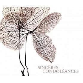 Paquet de 12 cartes "sincères condoléances" - Lojo - Carterie - Grossiste