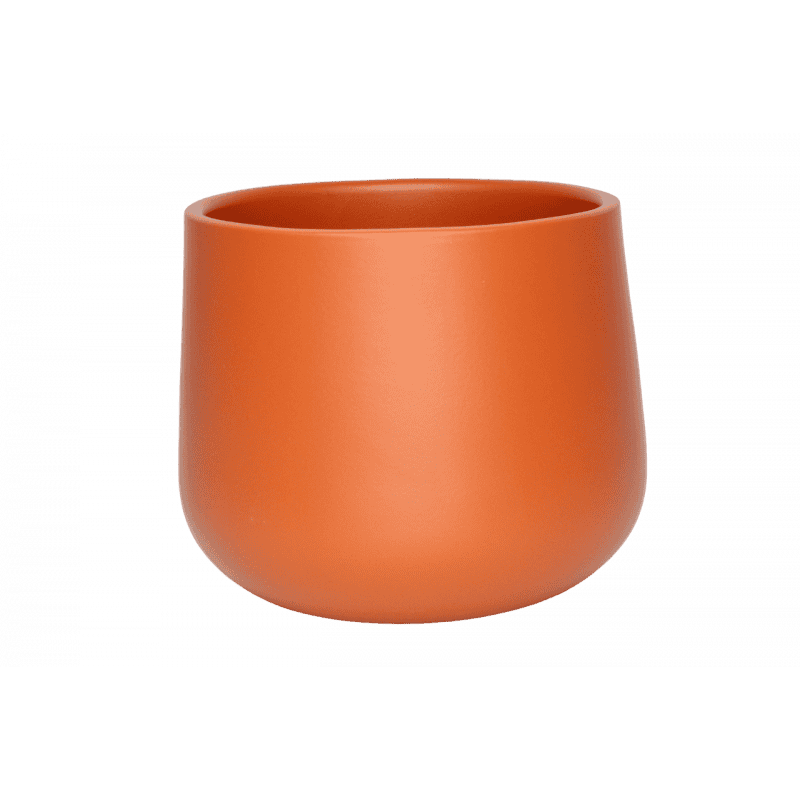 Cache-pot unis cayenne plusieurs tailles - Origine - Contenants - Grossiste Cache-pot unis cayenne plusieurs tailles - Origine - Contenants - Grossiste