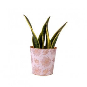 Cache-pot conique zinc fleurs contenant noël grossiste