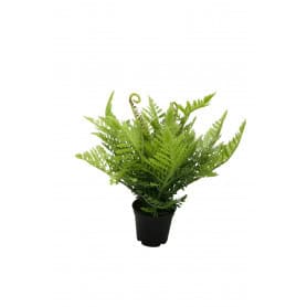 Fougère artificielle avec pot H. 25cm - Sentier - Décoration - Grossiste
