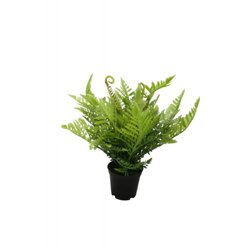 Fougère artificielle avec pot H. 25cm - Sentier - Décoration - Grossiste Fougère artificielle avec pot H. 25cm - Sentier - Décoration - Grossiste