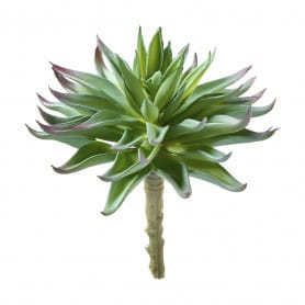 Succulent artificielle 16cm - Bandama - Décoration - Grossiste