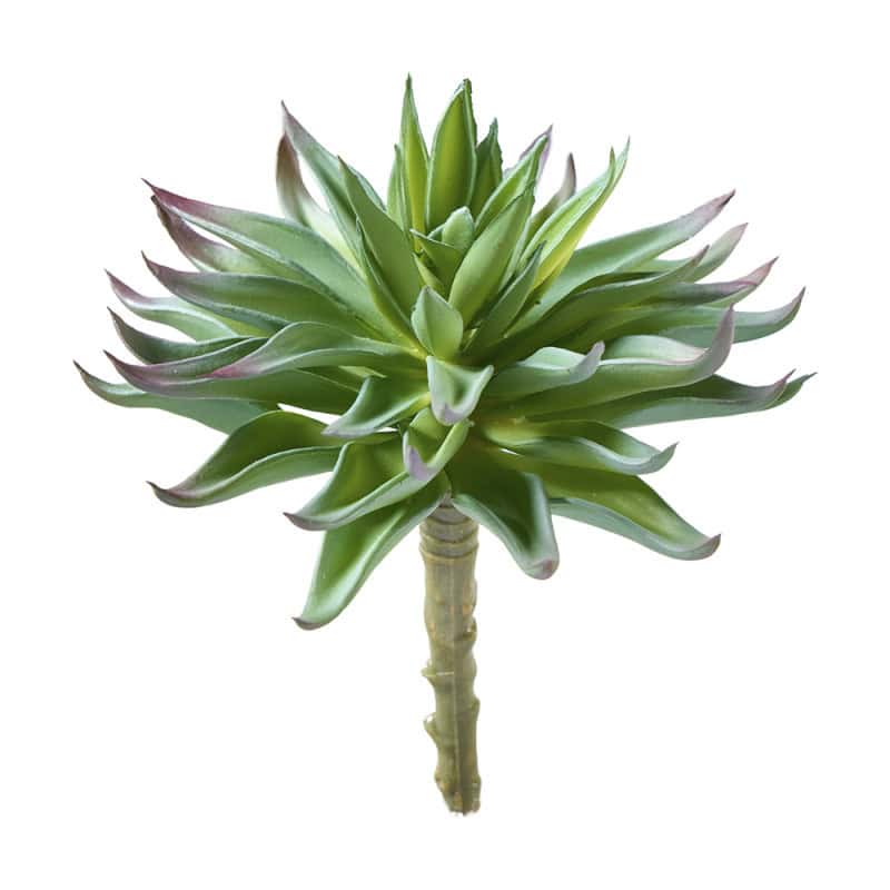 Succulent artificielle 16cm - Bandama - Décoration - Grossiste Succulent artificielle 16cm - Bandama - Décoration - Grossiste