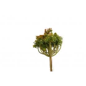 Buisson de sedum artificiel 20cm - Balade - Décoration - Grossiste