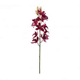 Orchidée 11 bourgeons 2 tailles - Boka - Décoration - Grossiste