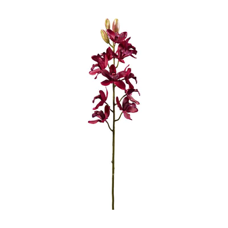 Orchidée 11 bourgeons 2 tailles - Boka - Décoration - Grossiste Orchidée 11 bourgeons 2 tailles - Boka - Décoration - Grossiste