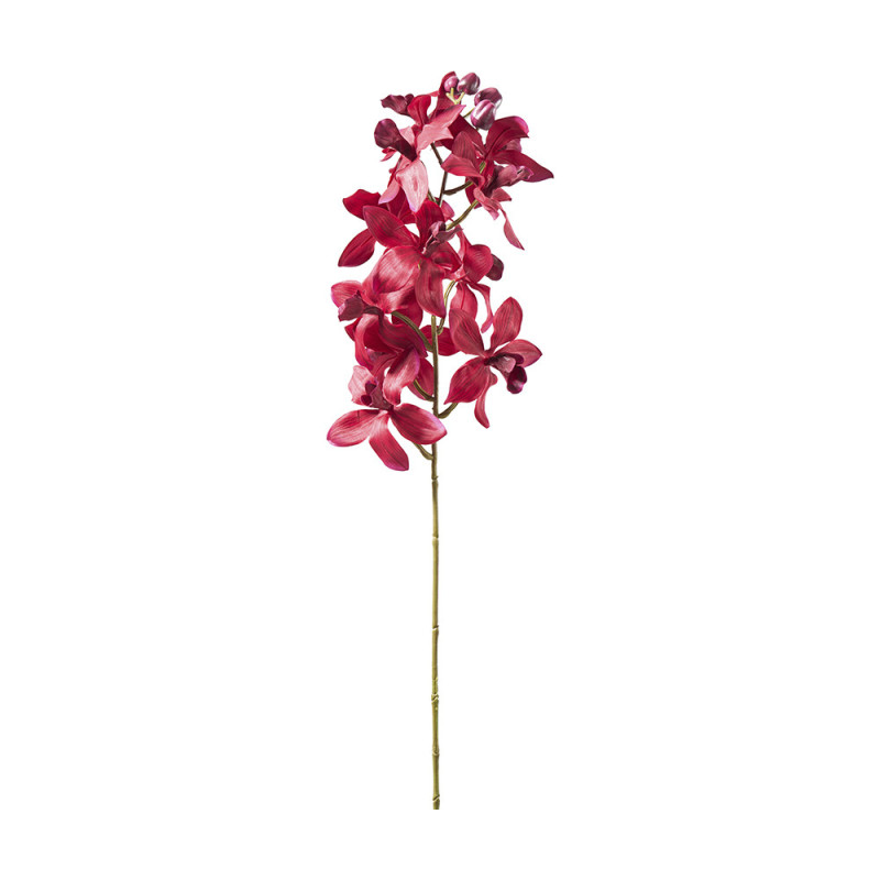 Orchidée 11 bourgeons 2 tailles - Boka - Décoration - Grossiste