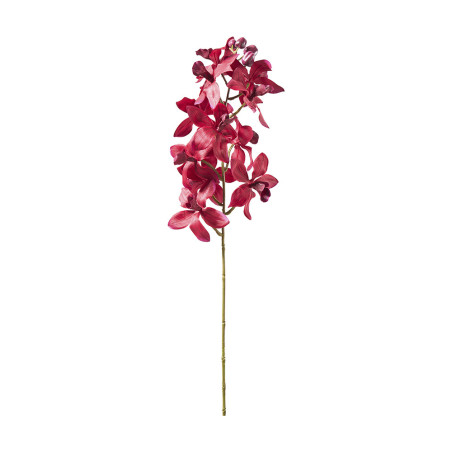Orchidée 11 bourgeons 2 tailles - Boka - Décoration - Grossiste