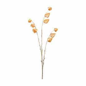 Physalis artificiel 3 branches 96cm 2 couleurs - Bouki - Décoration - Grossiste