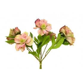 Bouquet d'hellebore 3 tiges 38cm - Jubba - Décoration - Grossiste