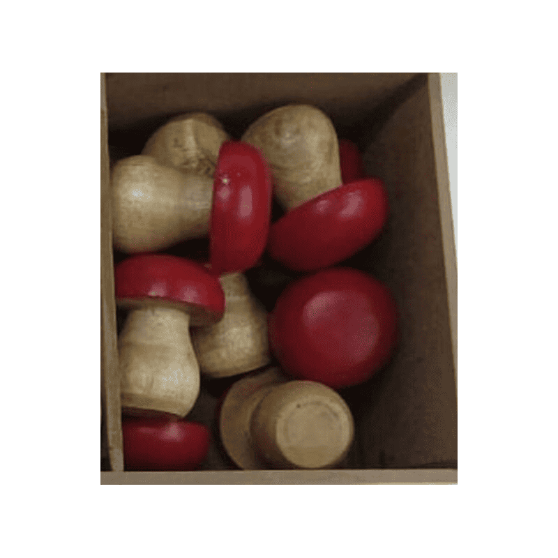 Boite de 24 champignons - Pilz - Décoration - Grossiste Boite de 24 champignons - Pilz - Décoration - Grossiste