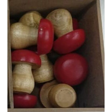 Boite de 24 champignons - Pilz - Décoration - Grossiste