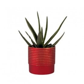 Cache-pot lignes rouge contenant noël grossiste