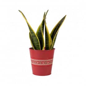 Cache-pot conique frise noël contenant zinc grossiste