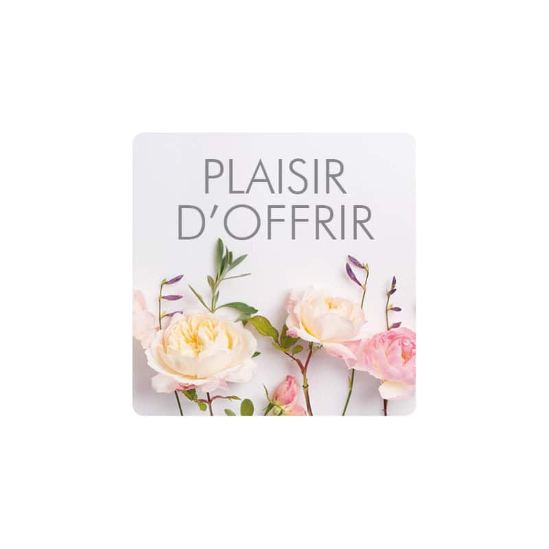 Rouleau de 500 étiquettes adhésives carrées "Plaisir d'offrir" - Sophy Rouleau de 500 étiquettes adhésives carrées "Plaisir d'offrir" - Sophy