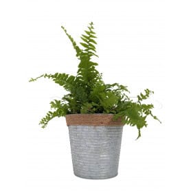 Cache-pot en zinc et corde 3 tailles - Abloux - Contenants - Grossiste