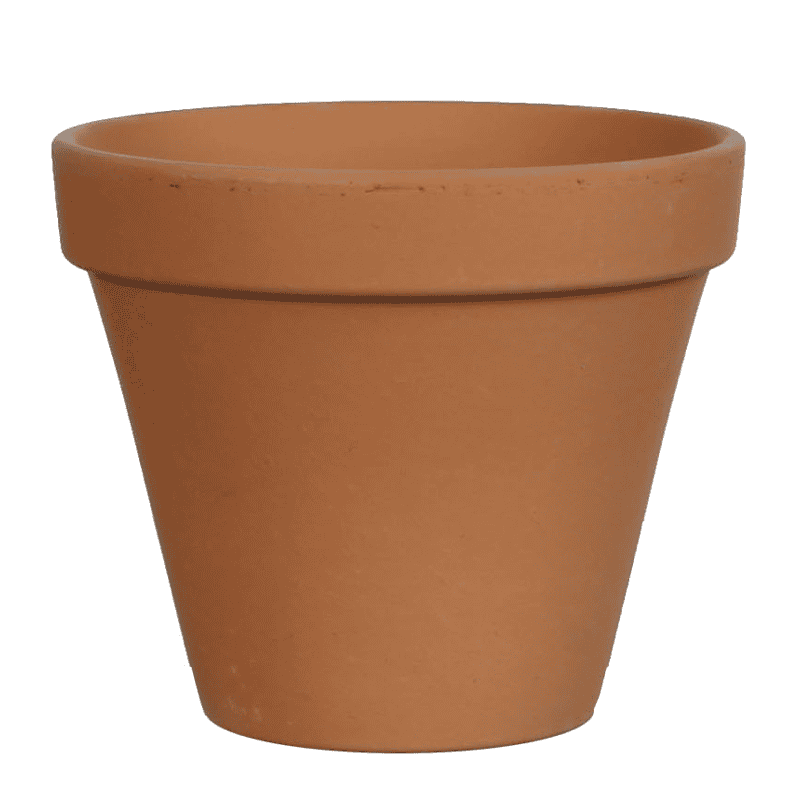 Pot en terre cuite percé - Stan - Contenants - Grossiste Pot en terre cuite percé - Stan - Contenants - Grossiste