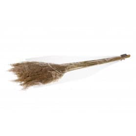 Bouquet de plumes Reed Long - Kyan - Secs - Grossiste