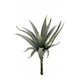 Succulente artificielle 20cm - Hozain - Grossiste