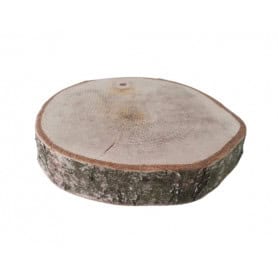 Sachet de 3 rondelles D. 20cm - Paulo - Elements secs - Grossistes