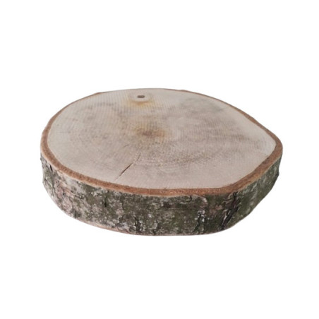 Sachet de 3 rondelles D. 20cm - Paulo - Elements secs - Grossistes