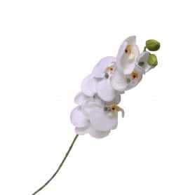 Phalaeno artificel 9 fleurs 81cm - Nevag - Fleurs artificielles - Grossiste