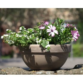 Coupe basalt 3 tailles - Levy - Contenants - Grossiste