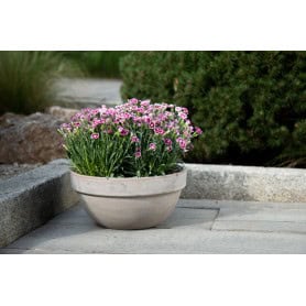 Coupe basalt 3 tailles - Levy - Contenants - Grossiste