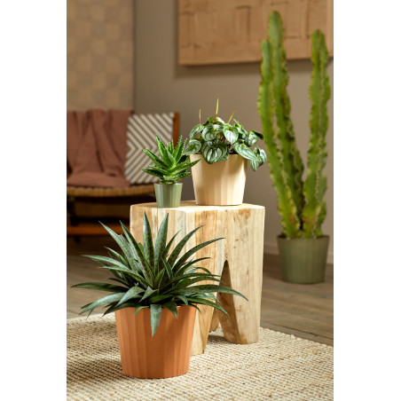 Cache pot - Contenant - Grossiste fleuriste - Fournisseur fleuriste - Renaud Distribution