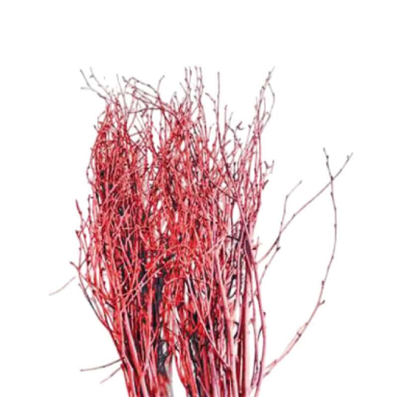 Branche de bouleaux couleur rouge - Tinté - Décoration - Grossiste
