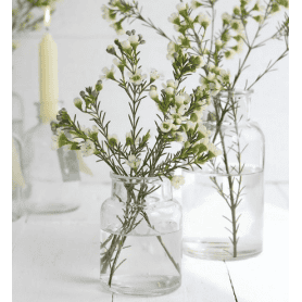 Vase en verre 7x10cm - Medecine - Verrerie - Grossiste