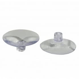 Ventouses Oasis transparentes - grossiste fleuriste