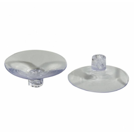 Ventouses Oasis transparentes - grossiste fleuriste
