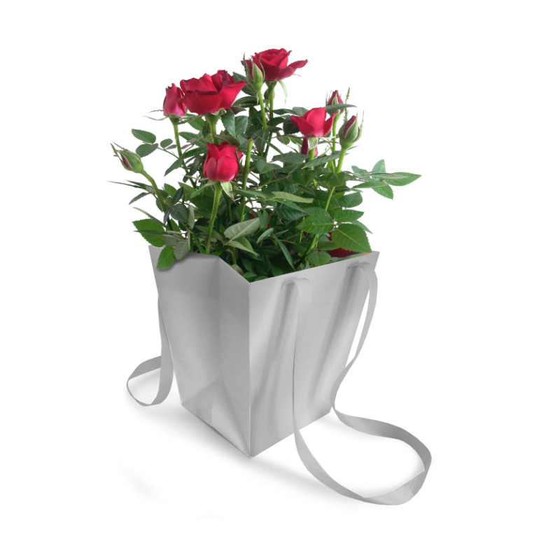 Paquet de 10 sacs unis H. 18cm plusieurs couleurs - Elégant - Grossiste