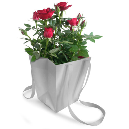 Paquet de 10 sacs unis H. 18cm plusieurs couleurs - Elégant - Grossiste