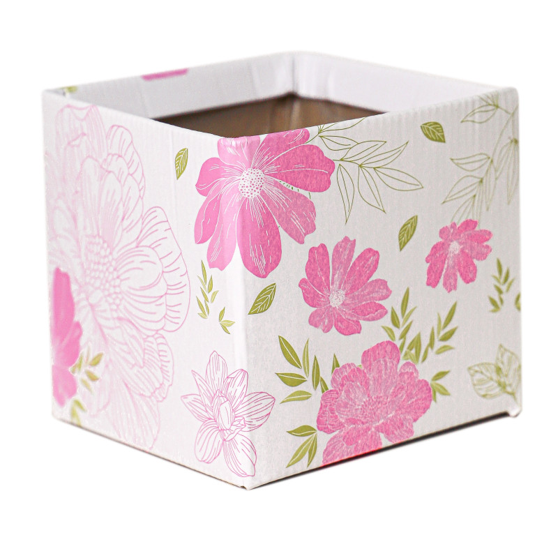 Paquet boites simply carton - Emballage - Grossiste